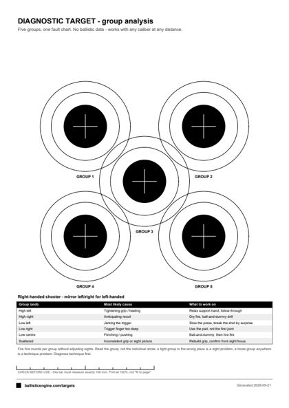Full preview of the Diagnostic Target — group analysis target sheet