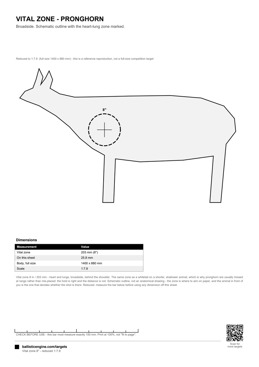 Full preview of the Vital Zone — Pronghorn target sheet